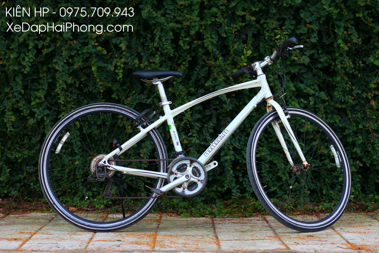 Xe đạp thể thao Touring GIANT MOMENTUM iNeed SSR Nhật cũ